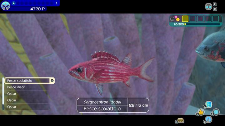 Image du produit Nintendo Endless Ocean Luminous (Switch, DE, FR, IT)