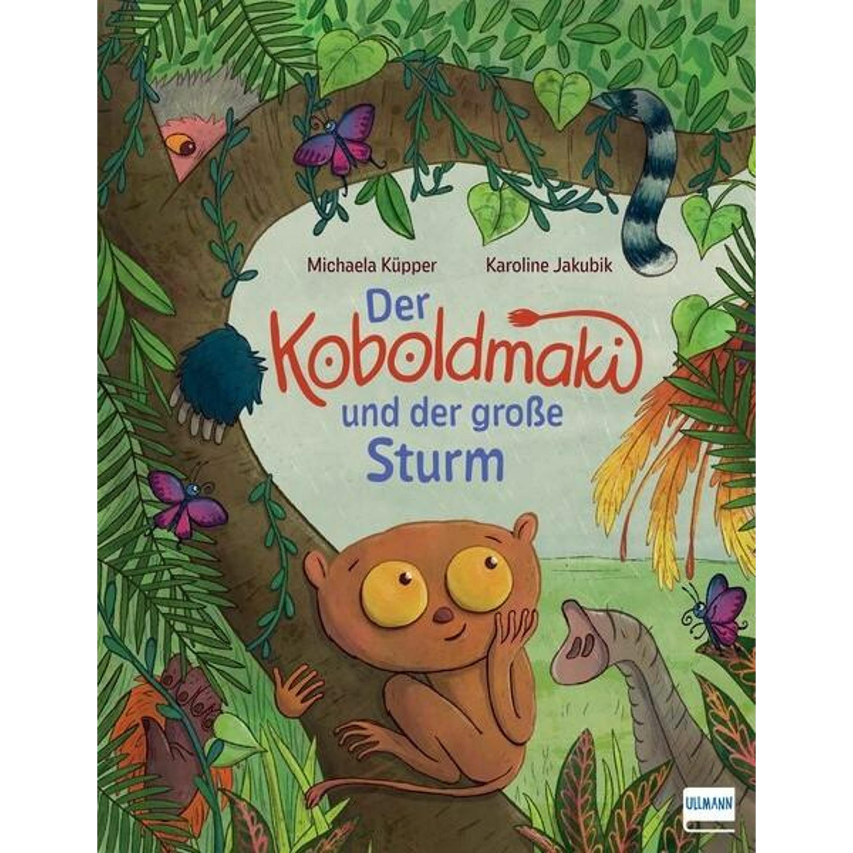 Der Koboldmaki und der grosse Sturm, Kinderbücher von Michaela Kpper