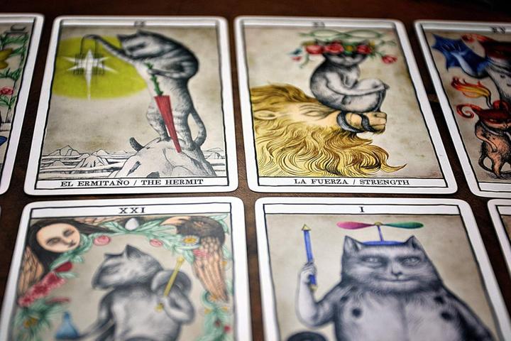 Actual product image Bicycle Tarot -Cat Cards