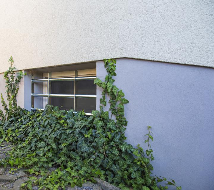 Produktbild Abus Fenstergitter