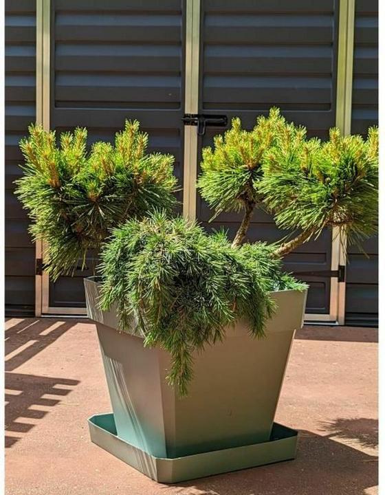 Actual product image Riviera Blumentopf 50 x 50 cm (50 x 50 x 50 cm)