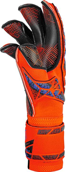 Actual product image Reusch Attract Gold X (7.5)