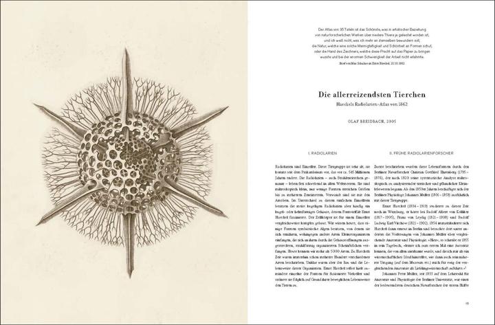 Produktbild Ernst Haeckel (Deutsch, Olaf Breidbach, 2012)