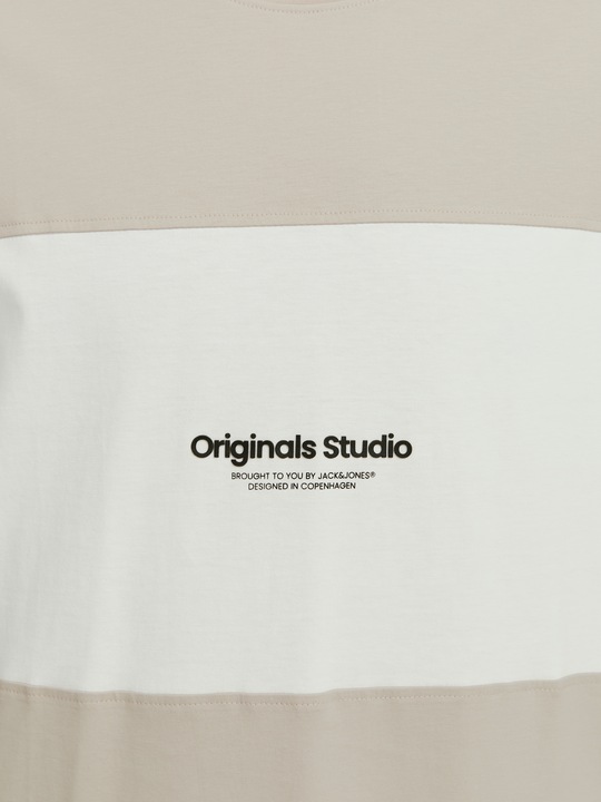 Produktbild Jack & Jones Jorvesterbro Block Tee Ss Crew Styd Aw24 (L)