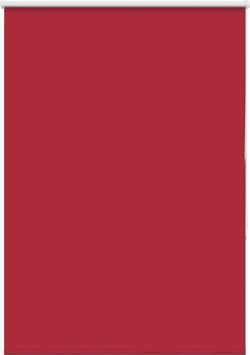 Produktbild vidaXL Verdunkelungsrollo (110 x 175 cm)