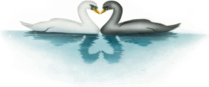 Actual product image Martellato Airbrush stencil swans