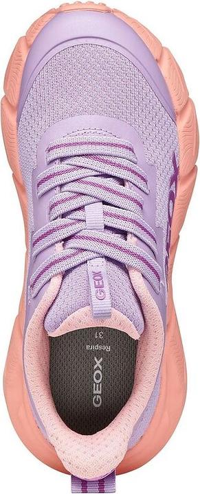 Image du produit Geox Sneaker (39)