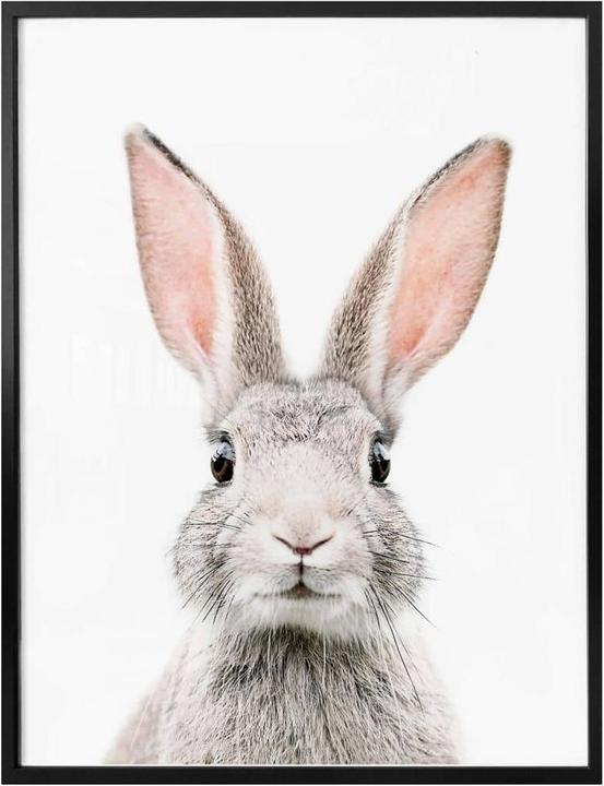 Produktbild Trenddeko Hasenohren