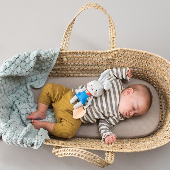 Image du produit Taf Toys Lapin Rylee