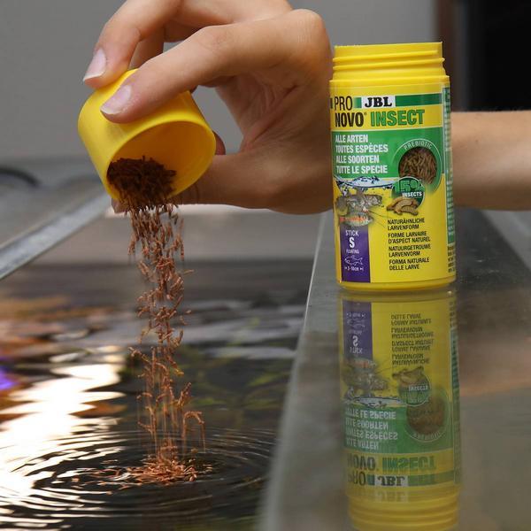 Produktbild JBL Aquaristik und Terraristik ProNovo INSECT STICK S 20ml (20 ml)