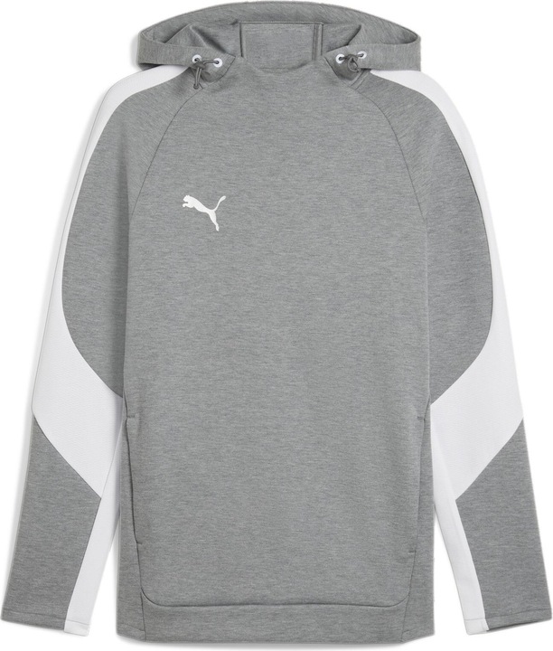 Puma teamEVOSTRIPE Hoody