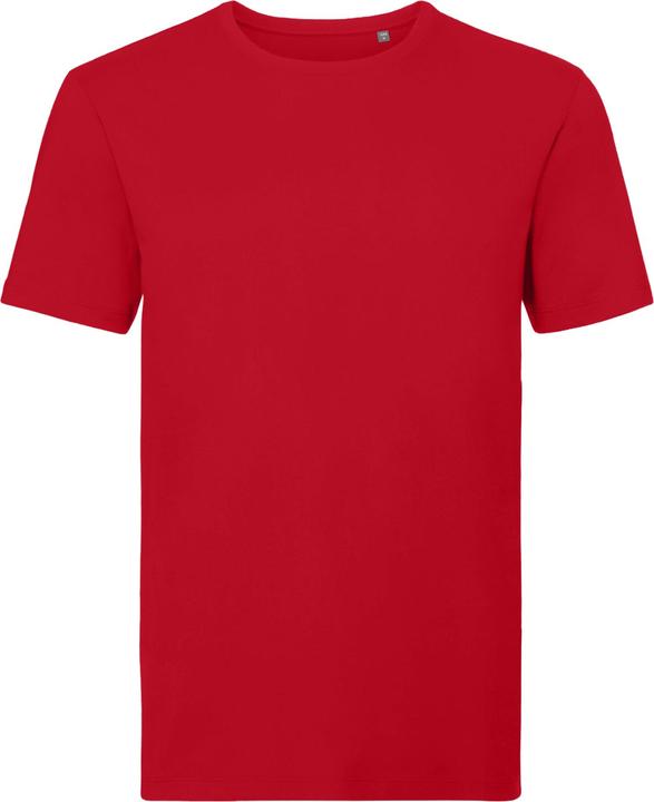 Rot