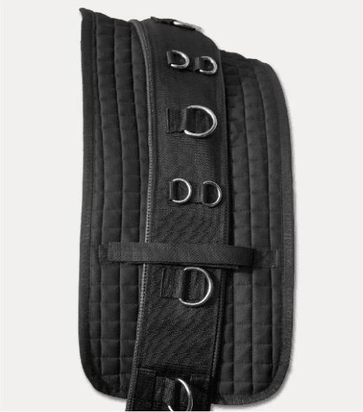 Produktbild Waldhausen Longiergurt-Unterlage