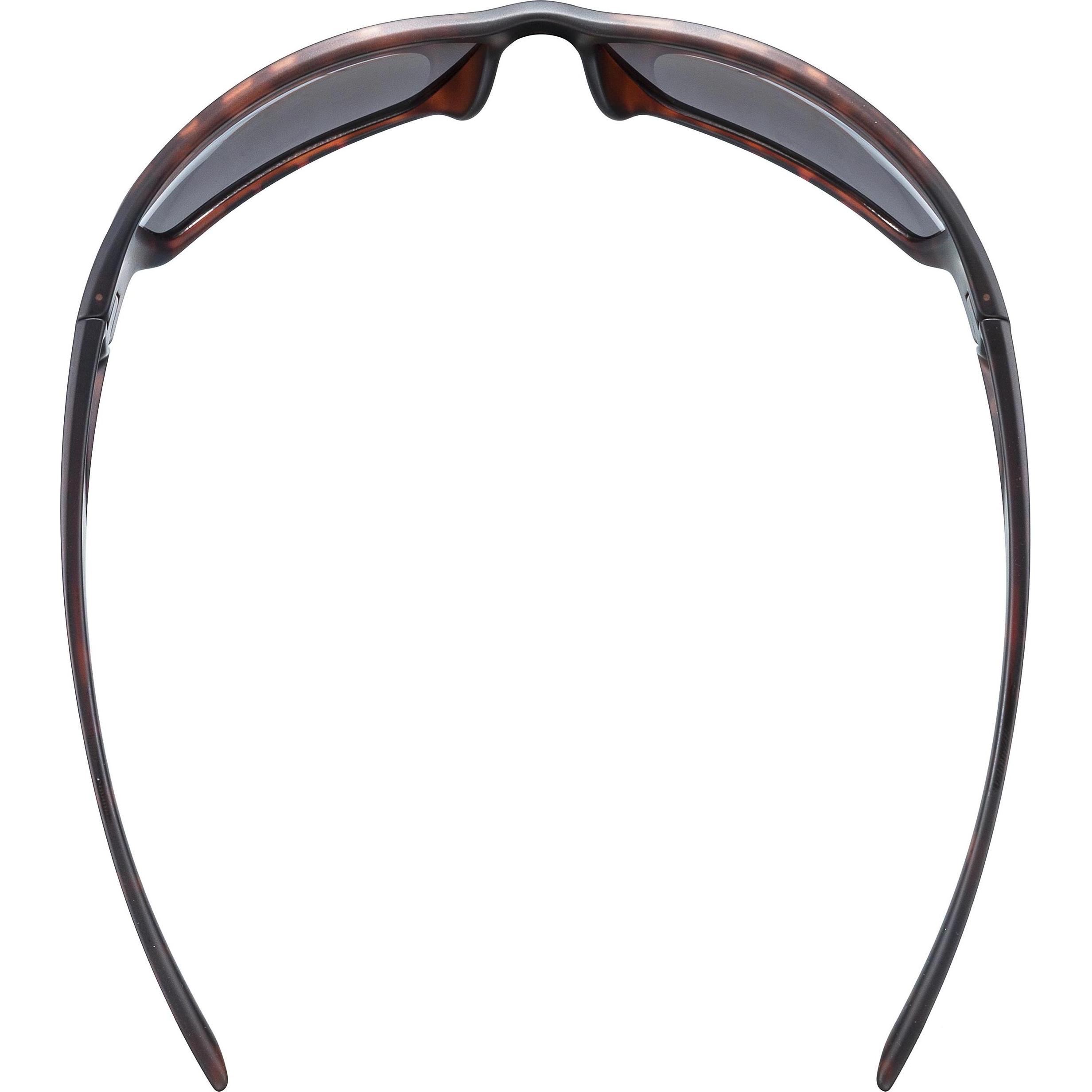 Thumbnail - Uvex Sports, Herren, Sportbrille, Sportstyle 230 (Havanna mat, Silber), Braun