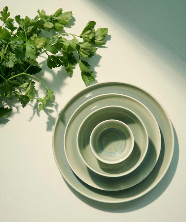 Produktbild ASA Selection Saisons Agave (1x, 26.50 cm)