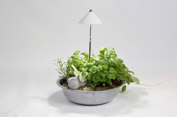 Productafbeelding Colibri ZONLiTE wit (LED, 230 V)