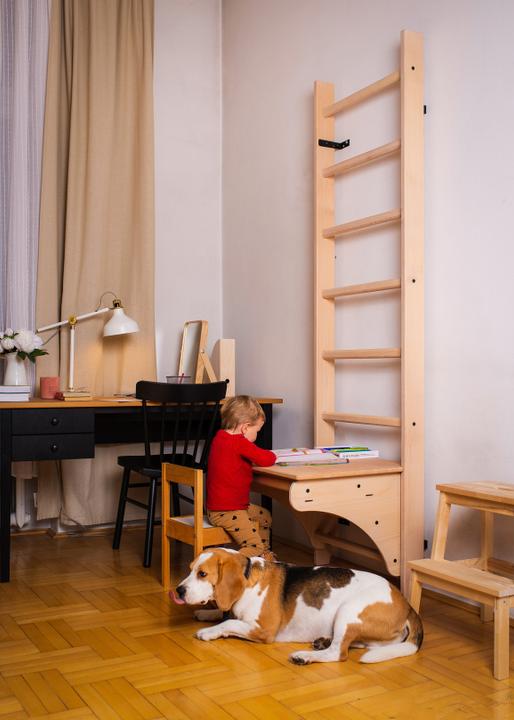 Image du produit BenchK BT 204M
