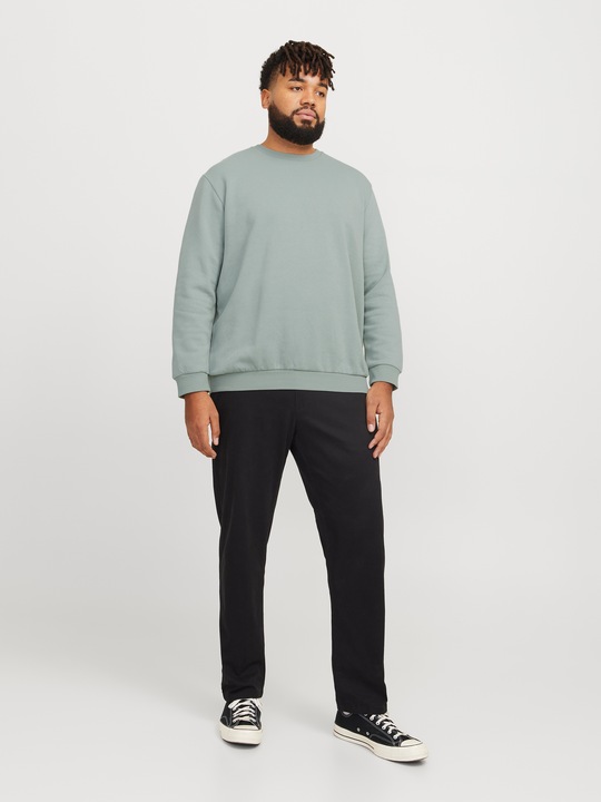 Actual product image Jack & Jones Jjebradley Sweat Crew Noos Pls (XXL)