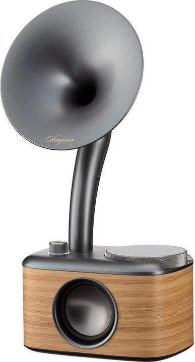 Immagine prodotto Sangean CP 100D (DAB, DAB, FM, Bluetooth)