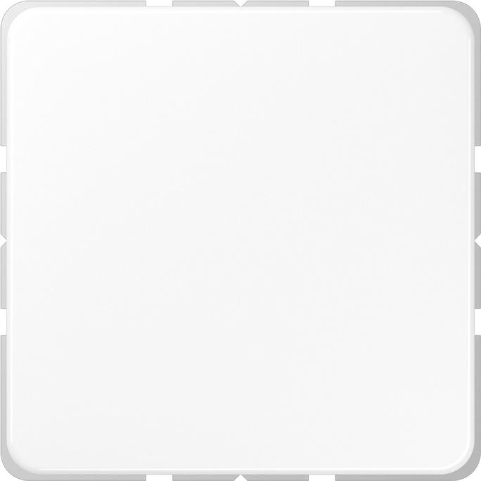 Produktbild JUNG Blind-Abdeckung mit Tragring