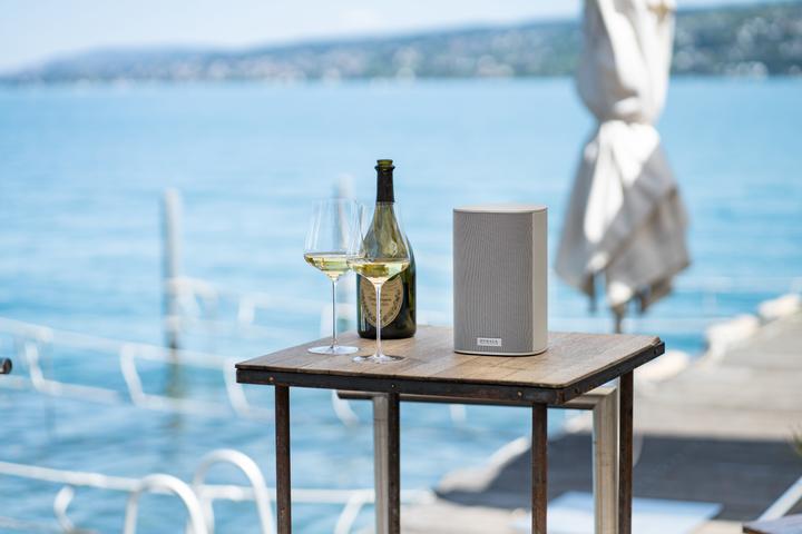 Actual product image Piega Ace 30 Wireless RX