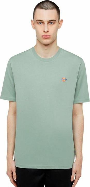 Actual product image Dickies Ss Mapleton Tee Iceberg Green (M)