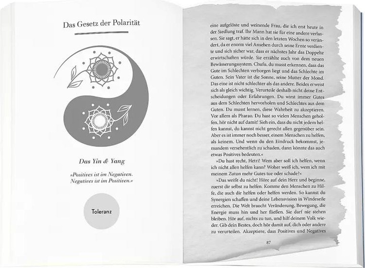 Produktbild Higher Mind. Die Gesetze des Bewusstseins (Deutsch, Andreas Schwarz, 2022)