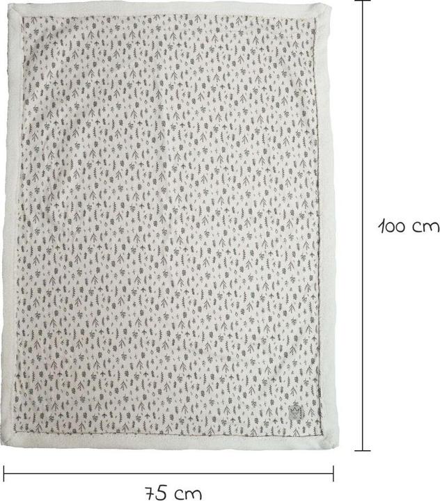 Produktbild Kaiser Baby Kuscheldecken Babydecke Winter Jersey - Leave (75 x 100 cm)