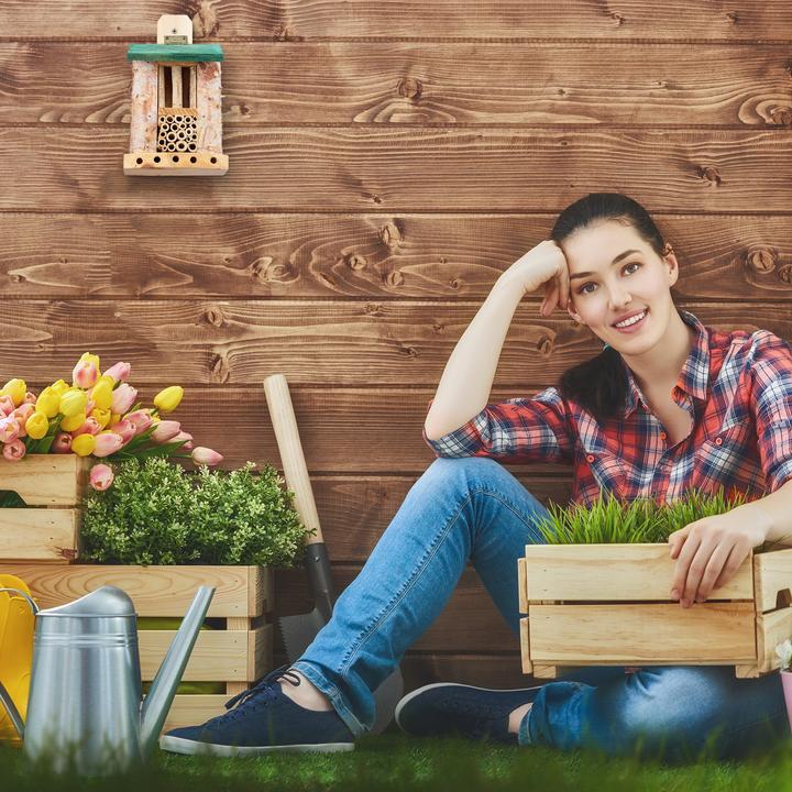 Immagine prodotto Relaxdays Casetta insetti (Api)