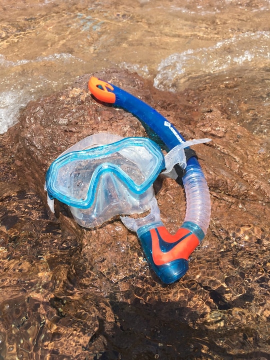 Produktbild Schildkröt Barbados