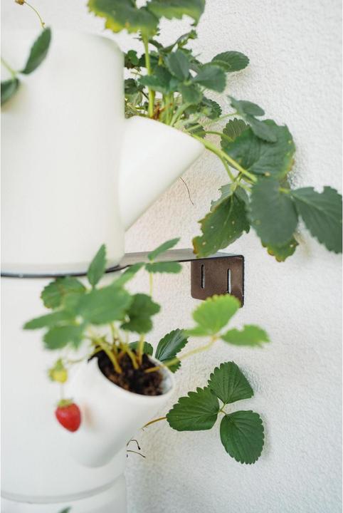 Actual product image Gusta Garden Rearing pots SISSI STRAWBERRY Infinity, White (27 cm)