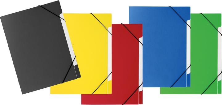 Actual product image Pagna 5 Basic file folder 5 compartments, assorted colours (A4, 5x)
