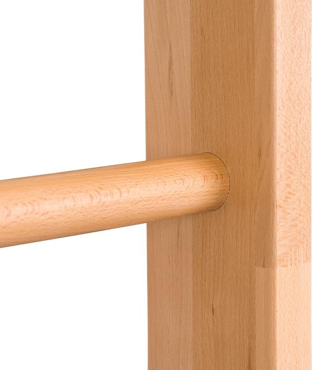 Produktbild Sport-Thieme Turnwand-Einzelelement TuWa Gitterleiter