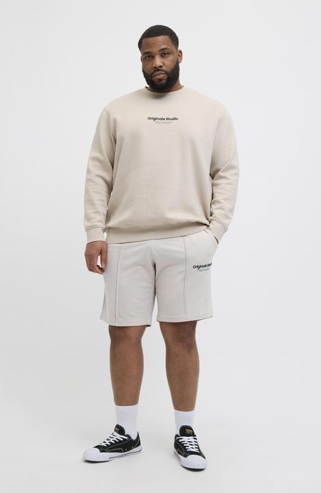 Actual product image Jack & Jones Plus Size Loose Fit Sweat-Shorts Sweat-Shorts (44)