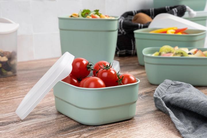 Image du produit Amuse Optifridge Bio Plus