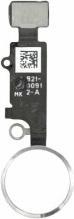 Actual product image OEM Home Button + Flex Cable for iPhone 7 - silver (Apple iPhone 7, Apple iPhone 7 Plus)