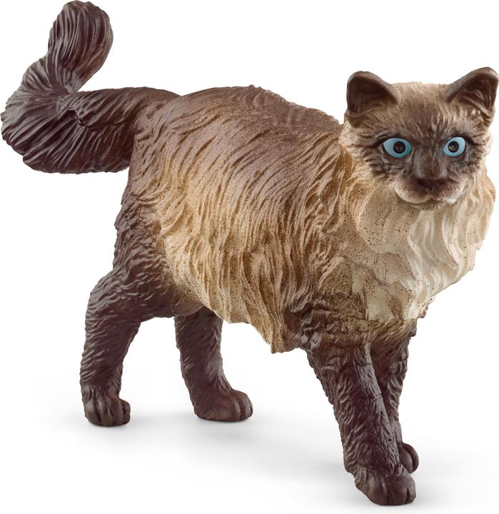 Image du produit Schleich Ragdoll Kat