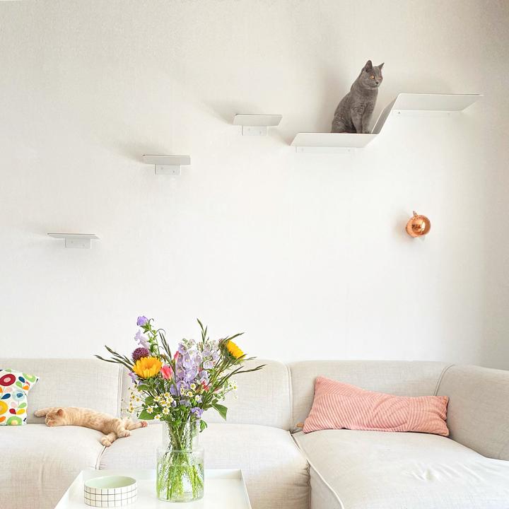 Actual product image LucyBalu STEPS Katzentreppe (White - anthracite)