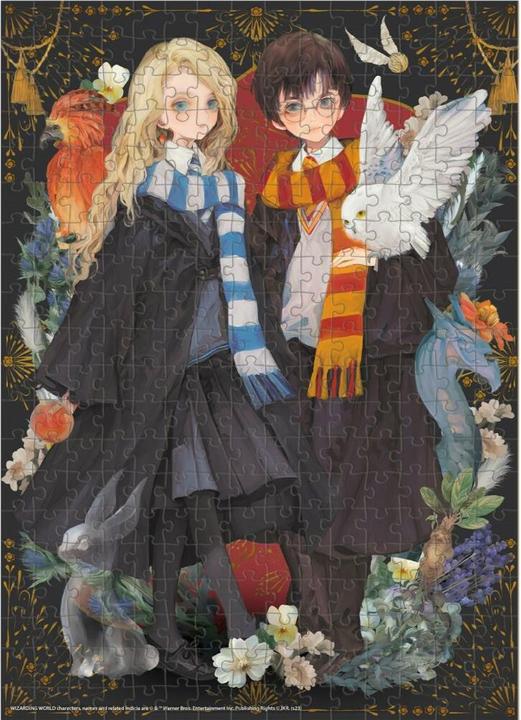 Image du produit Dodo Puzzle - - Moyen-M - Harry Potter Puzzle - - Moyen-M - Harry Potter (300 pièces)