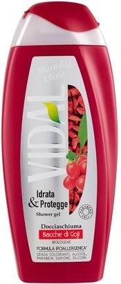 Produktbild Vidal Goji Beeren Duschgel 250ml (250 ml)