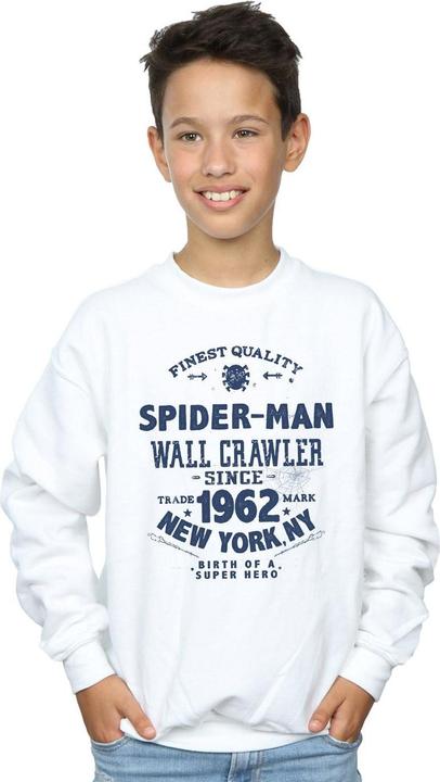 Image du produit - Sweat SPIDER-MAN FINEST QUALITY - Garçon (116)