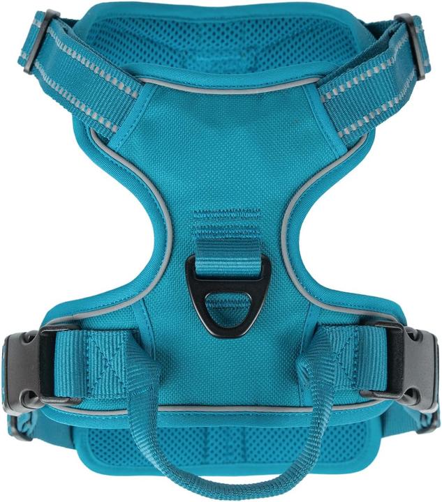 Immagine prodotto Voyager Verstellbares Hundegeschirr mit Reflektoren (S, Cane)