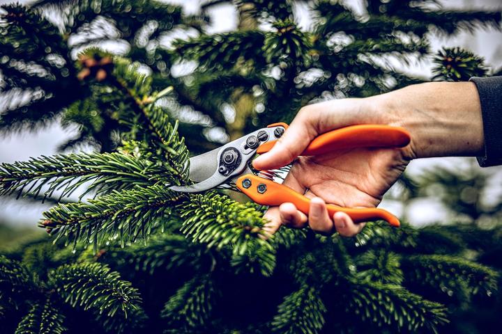 Produktbild Löwe 11 Profi Gartenschere Bypass, Standardgriff