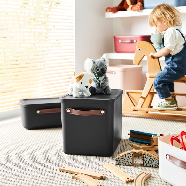 Actual product image Rotho Storage box 27 l C4 MALOJA (27 l)