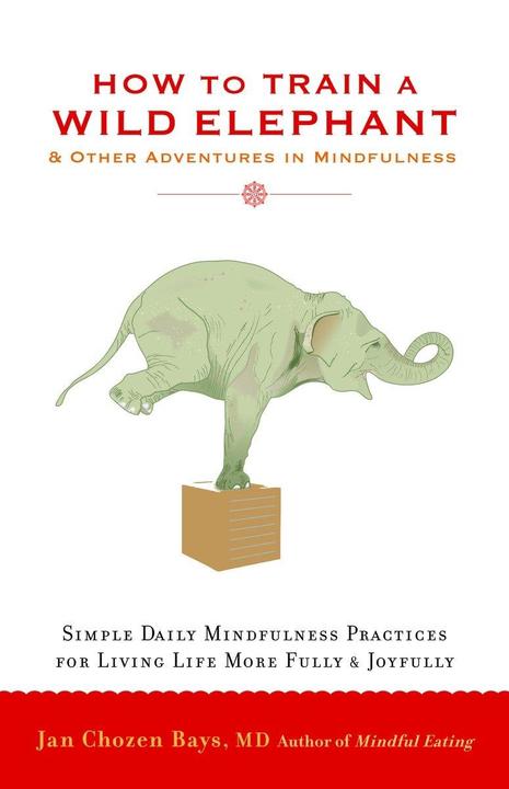Produktbild How to Train a Wild Elephant (Englisch, Jan Chozen Bays, 2011)
