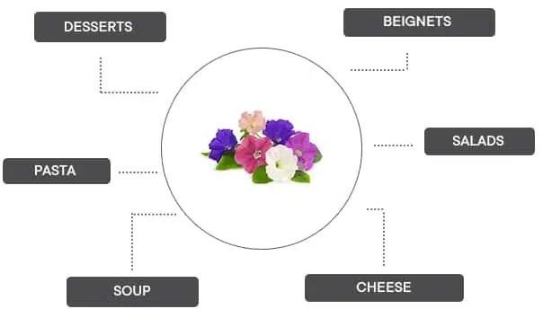 Actual product image Véritable Dwarf petunia (Herb seeds)