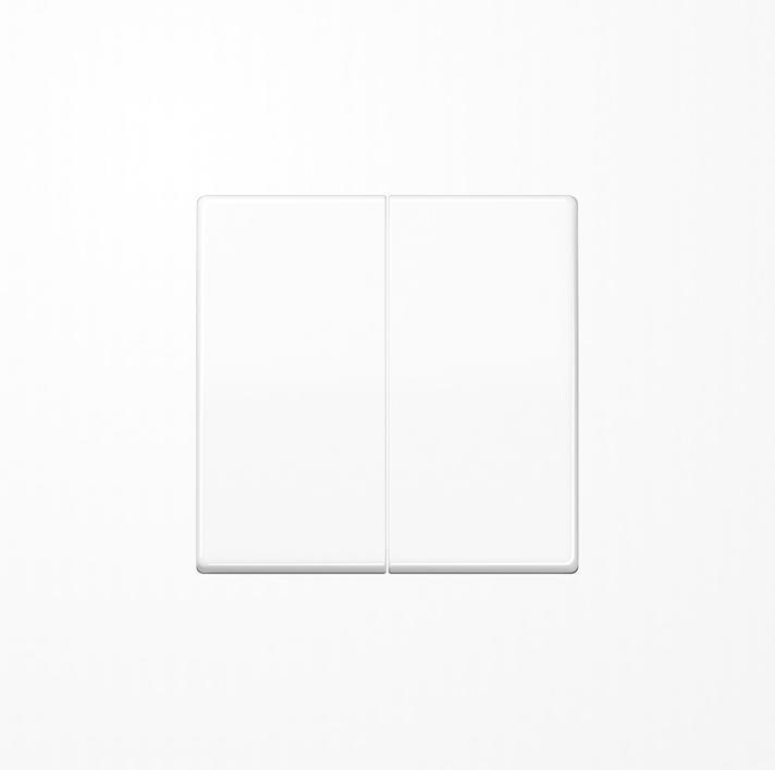 Actual product image JUNG Rocker