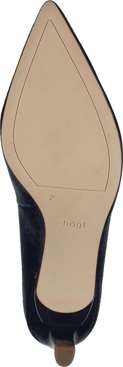 Image du produit Högl Pumps (40)