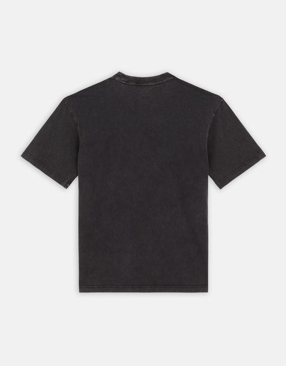 Produktbild Dickies Plentywood Tee Ss Dble Dye/Acd Bl (S)