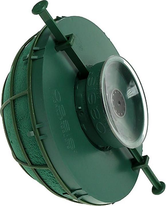 Actual product image Oasis Auto Rondella